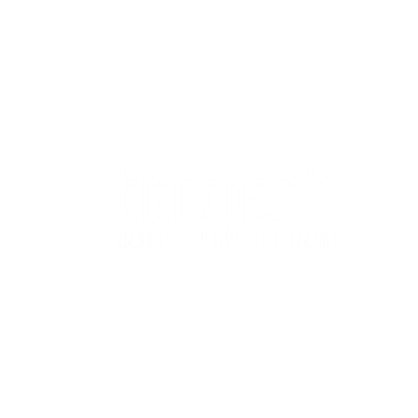Full-service marketing agency Brandnamic Full-service marketing agency Brandnamic