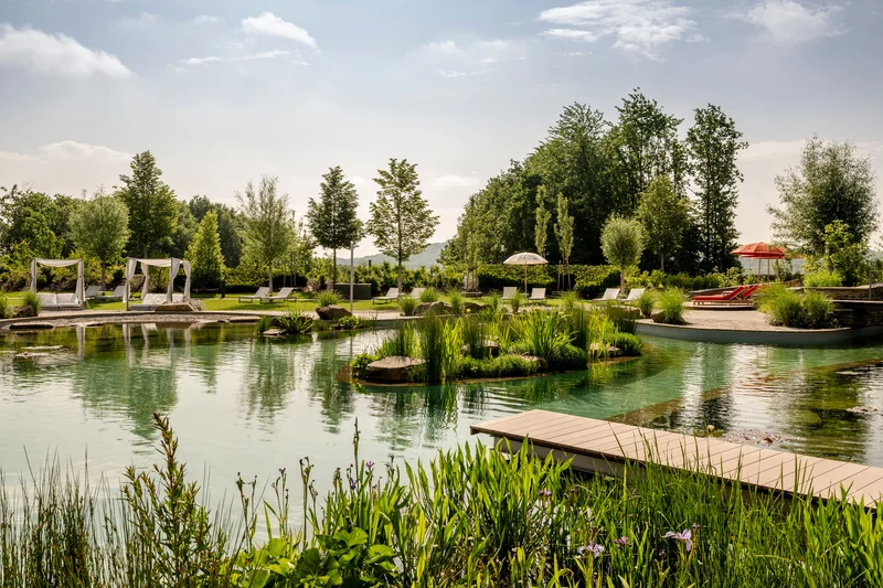 Seezeitlodge Hotel & Spa: Digitale Neuausrichtung aus einer Hand Natürlicher Schwimmteich mit Liegen, Sonnenschirmen und Bäumen an einem sonnigen Tag