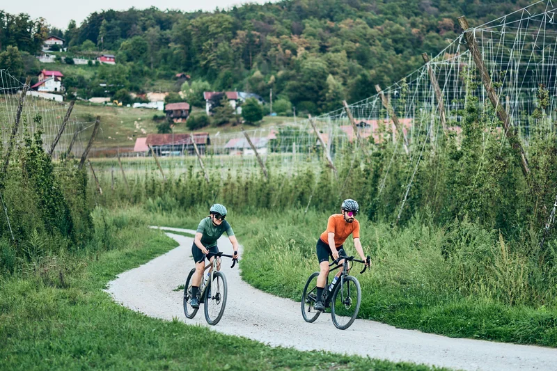 Zwei Radfahrer fahren auf einem Landweg durch grünes Hopfenfeld mit Hügeln im Hintergrund