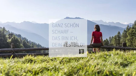 Frau sitzt auf Holzzaun mit Blick auf bewaldete Berge und Bergkette im Hintergrund
