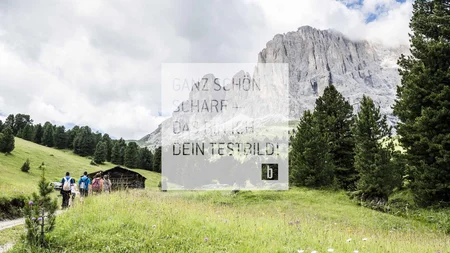Wanderer auf Pfad in grüner Bergwiese mit Fichten vor Felsen bei bewölktem Himmel