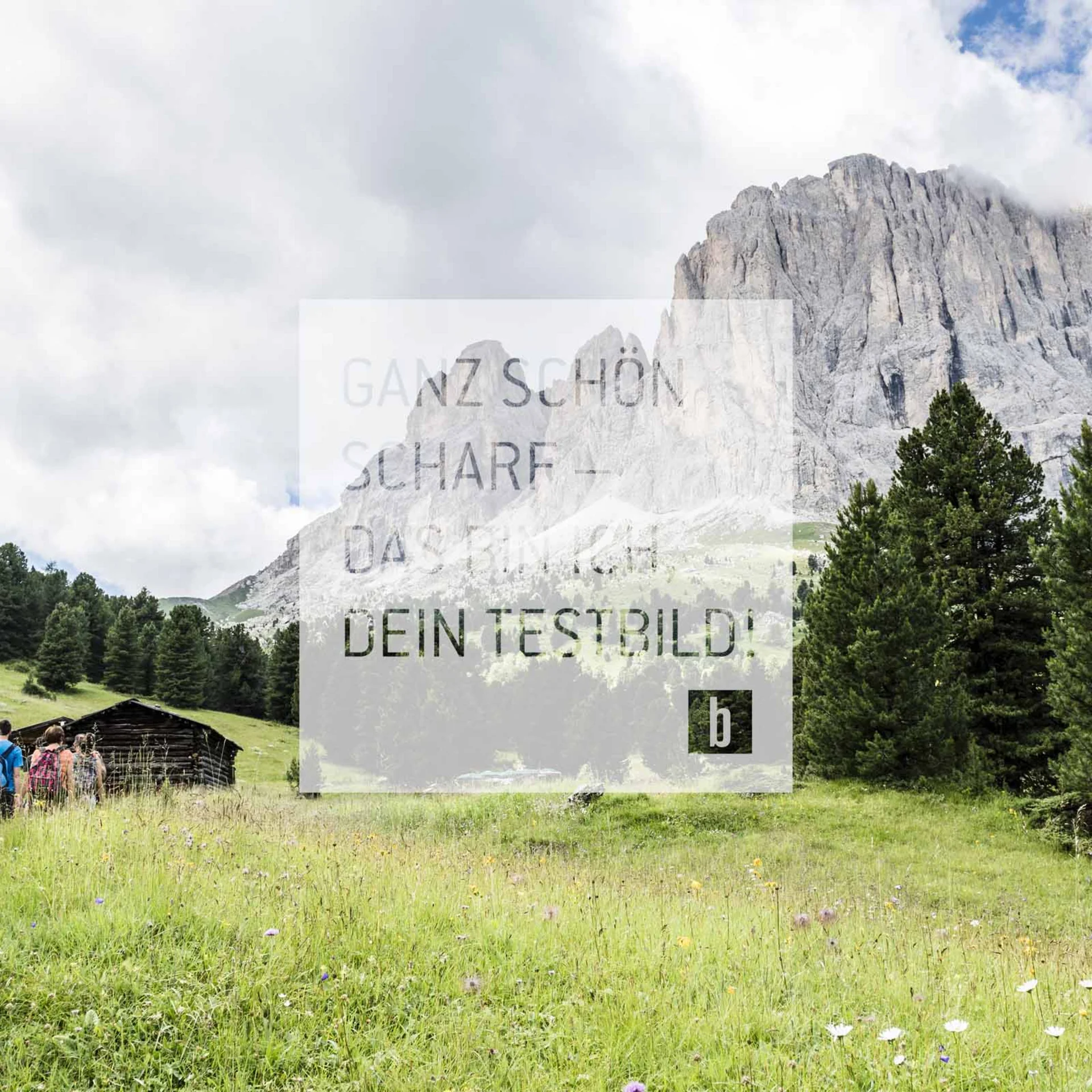 Wanderer auf Pfad in grüner Bergwiese mit Fichten vor Felsen bei bewölktem Himmel