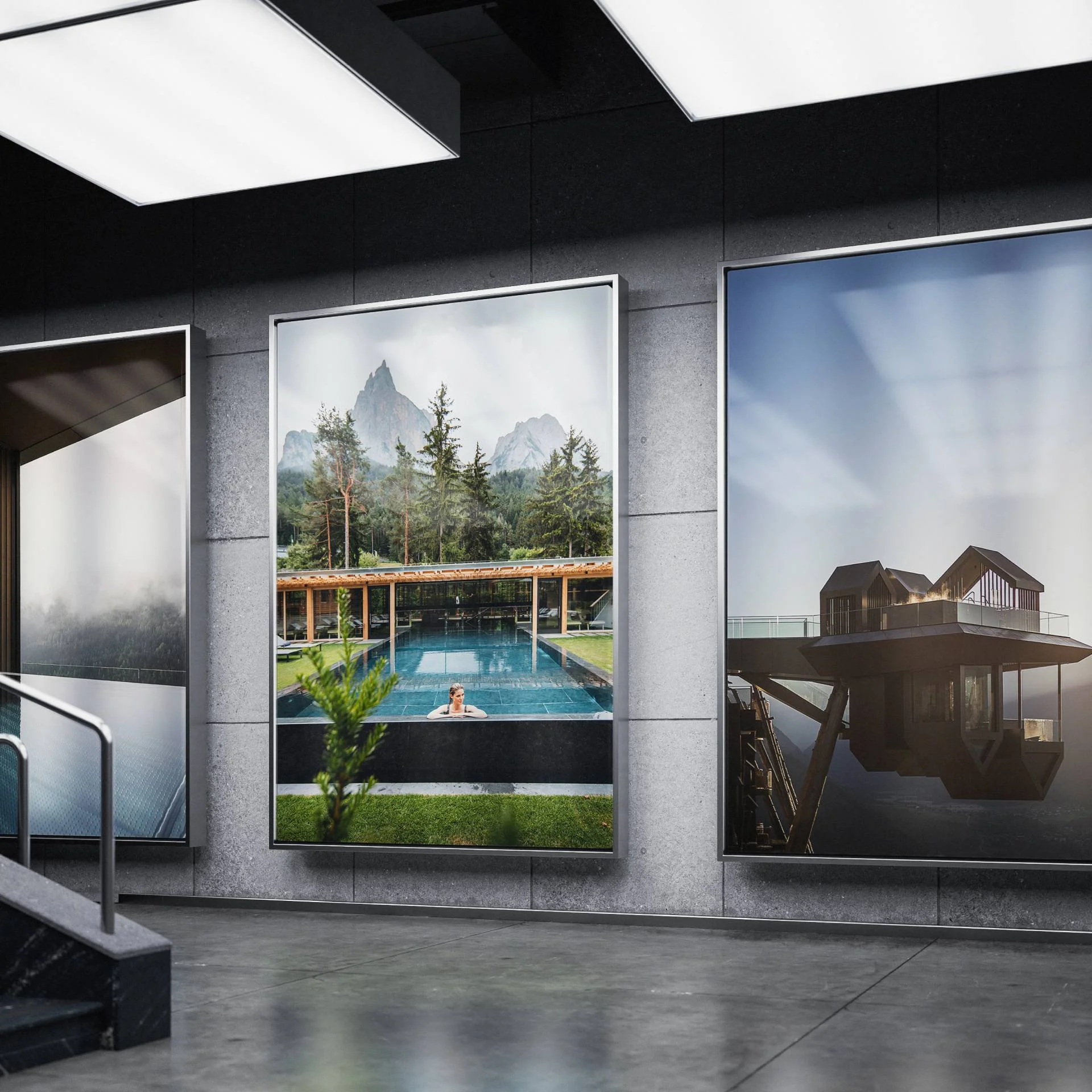 Three large nature and architecture posters displayed in a modern gallery space