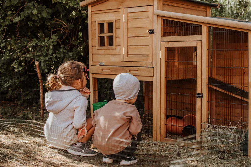 Das Mühlwald: perfectly visible Two children looking at a wooden chicken coop in a garden
